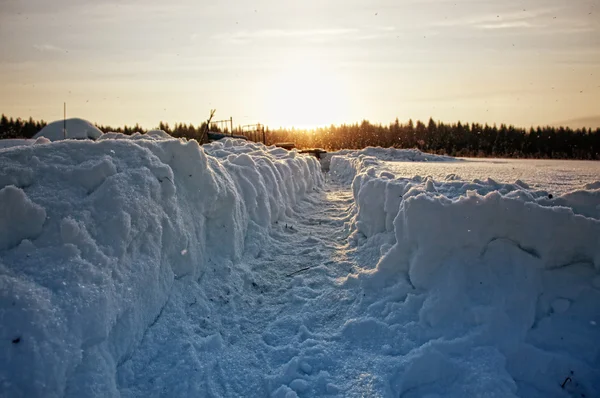 Derin karda — Stok fotoğraf