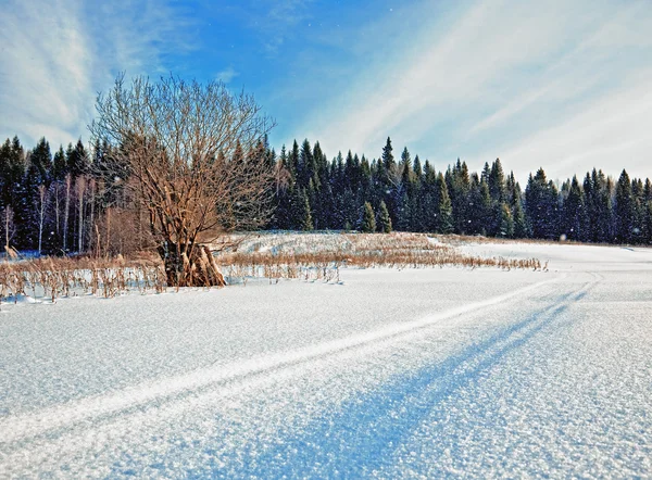 Sneeuw bedekte weg — Stockfoto