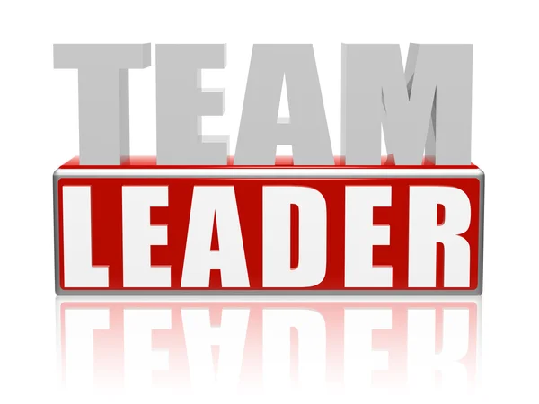 Team Leader — Stock Photo, Image