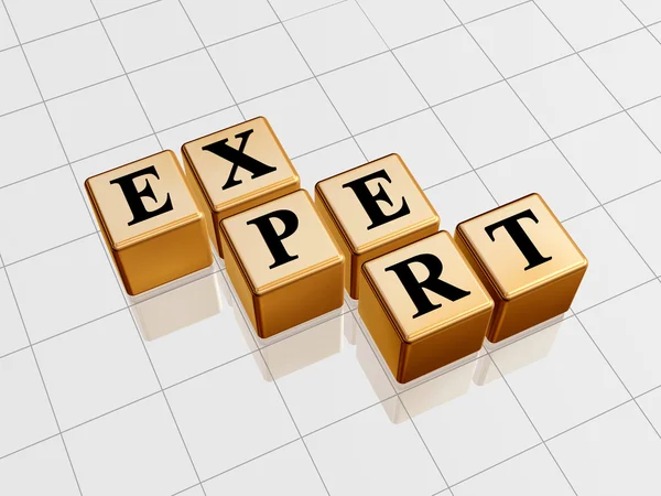 Expert en or — Photo