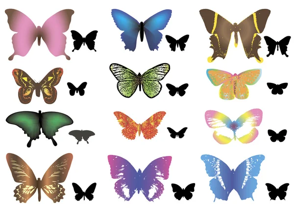 Color butterfly + silhouettes. — Stock Vector