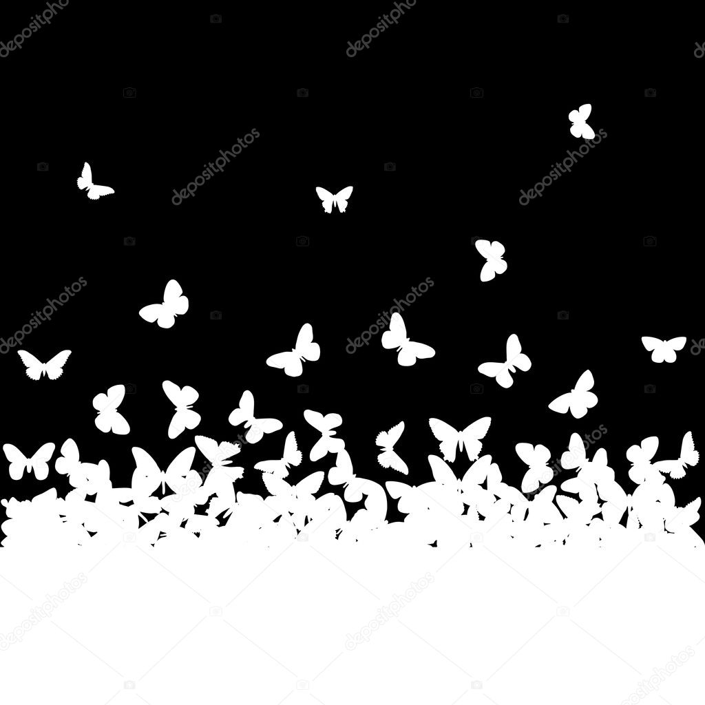The silhouettes of butterflies
