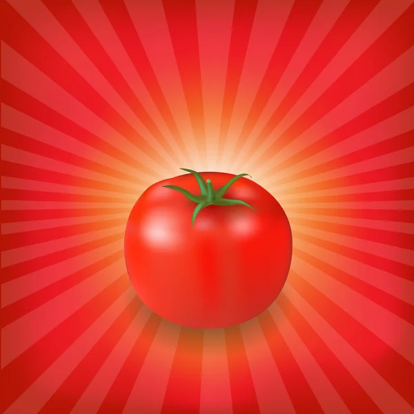 Sunburst fondo con tomate rojo — Vector de stock