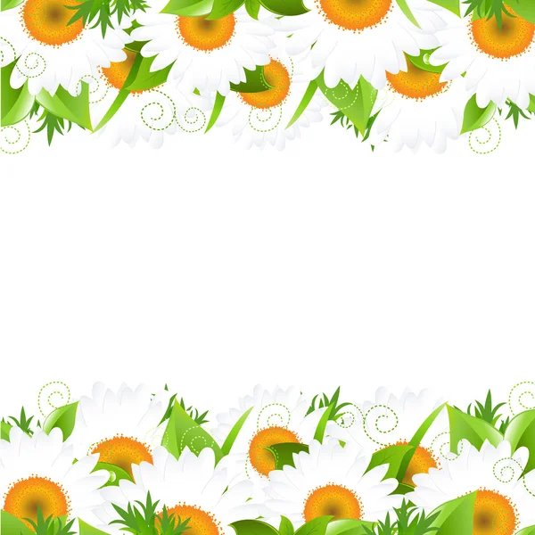 Camomile And Leaves Border — Stockvector