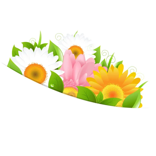 Gerber λουλουδιών και τα φύλλα — Διανυσματικό Αρχείο