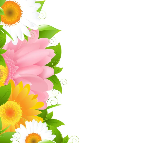 Gerber'ler çiçek ve yaprak — Stok Vektör