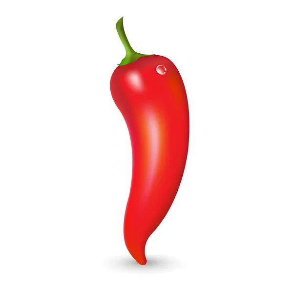 Red Hot Pepper With Drop — Stock Vector