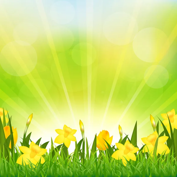 Flowers Easter Background — Stock Vector