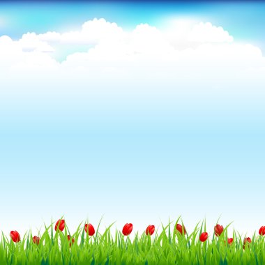 Green Landscape With Grass And Red Tulip clipart