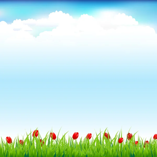 绿色景观与草和红色郁金香 — 图库矢量图片