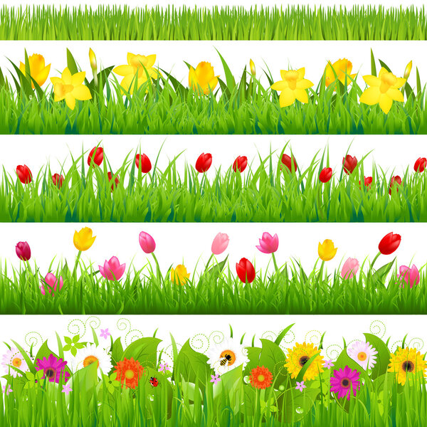 Flower Borders Set