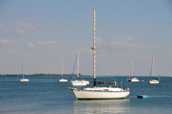 Stock image Sail Boats