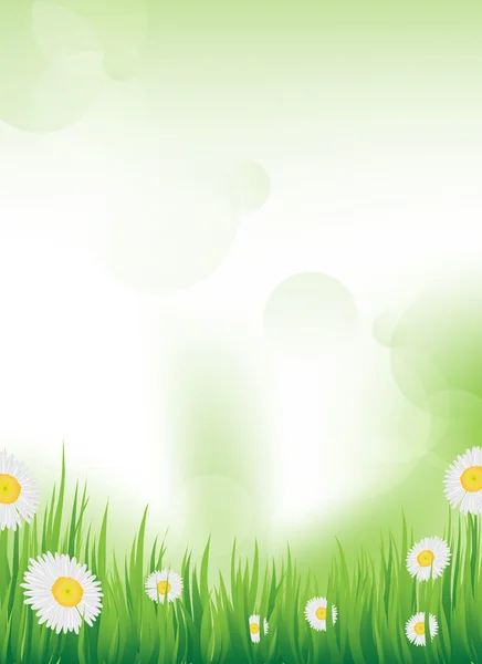Spring design — Stock Photo, Image