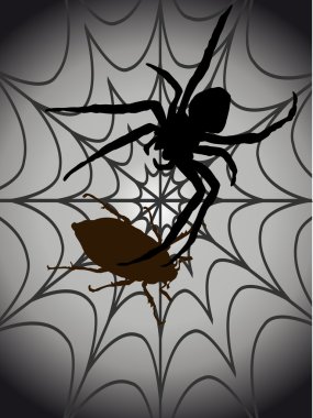 Spider with spider web clipart