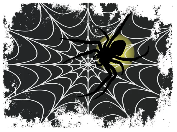 Aranha com teia de aranha —  Vetores de Stock