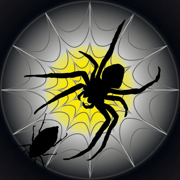 Araignée avec toile d'araignée — Image vectorielle