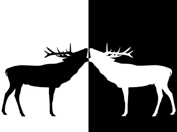 Черно-белый олень — стоковый вектор