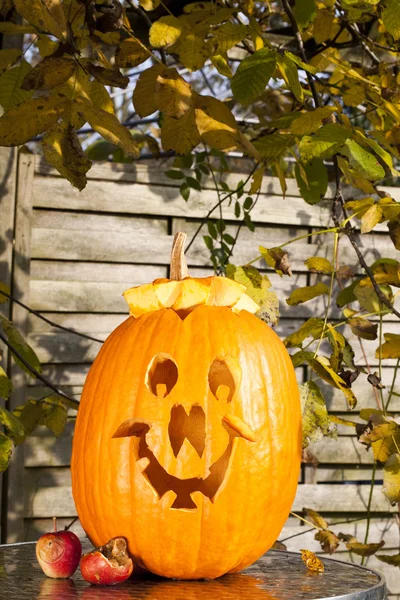 Carved pumpkin in rock garden — Stock Photo © montana #51524395