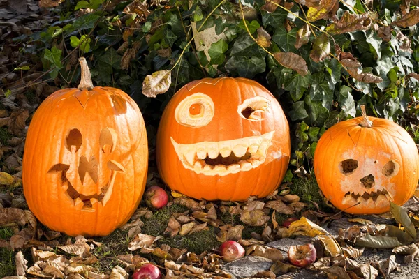 Drei Halloween-Kürbisgesichter — Foto de Stock