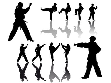 Taekwondo fighter clipart