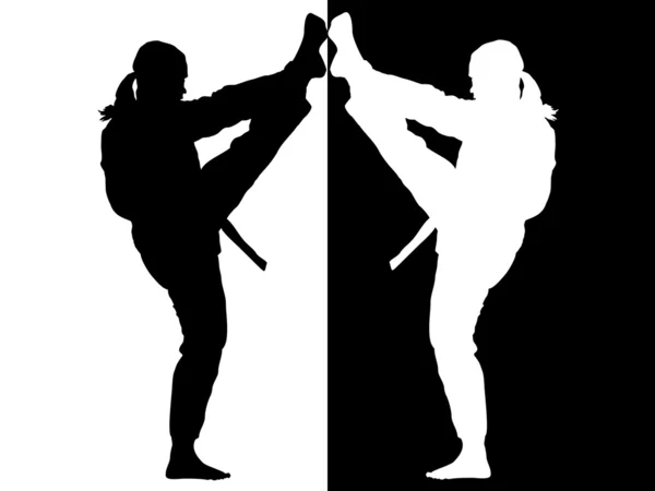 Taekwondo-fighter - vektor — Stock vektor