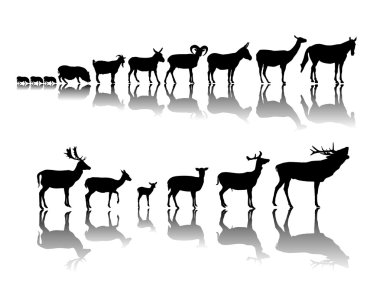 Group of hoofed animals clipart