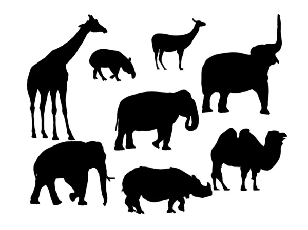 Afrikanska djur — Stock vektor