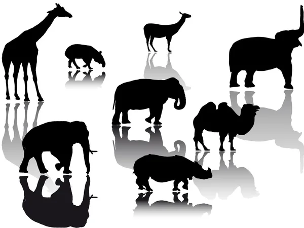 Afrikanische Tiere — Stockvektor