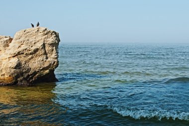 Rock in the sea and two pigeons clipart