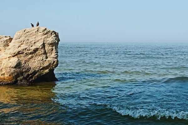 Rocher dans la mer et deux pigeons Image En Vente
