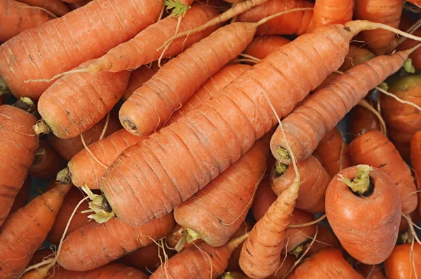 stock image Carrots