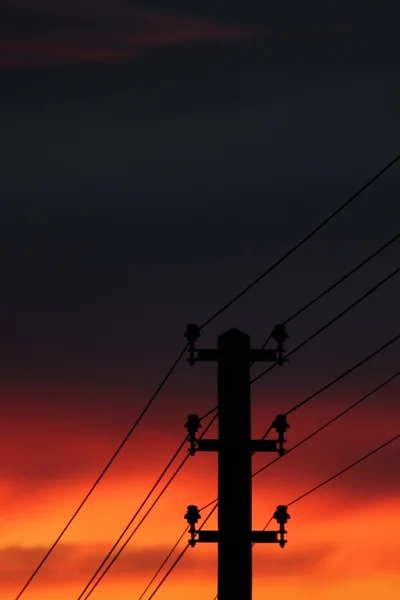 Electric cables sundown — Stock Photo, Image