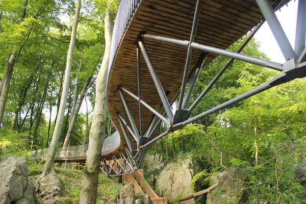 현대 숲 다리 스톡 사진