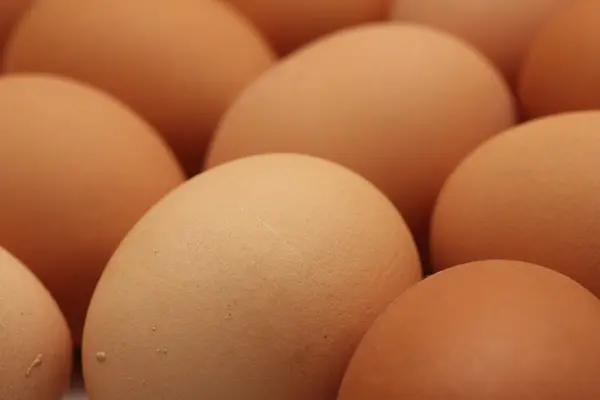 Plain eggs — Stock Photo, Image