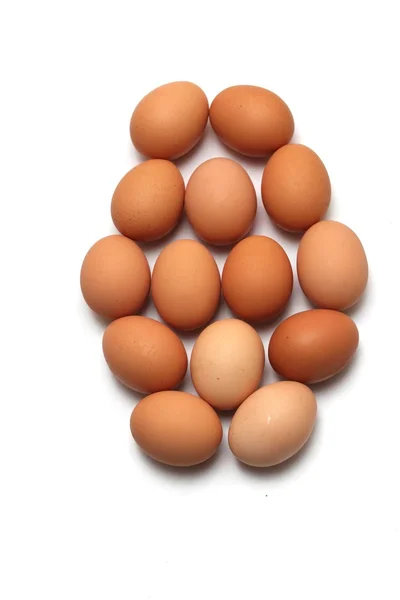 The egg egg — Stock Photo, Image