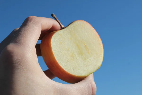 The apple — Stock Photo, Image