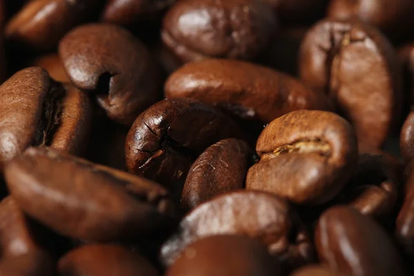 コーヒー豆 ロイヤリティフリーのストック写真