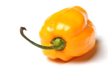 Sarı izole habanero