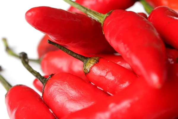 Kırmızı biber — Stok fotoğraf