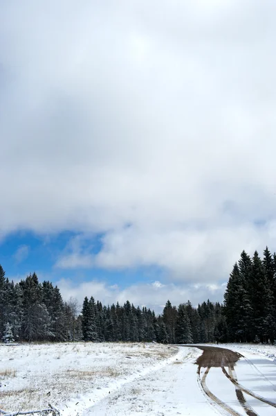 Camino de tierra cubierto de nieve — Foto de Stock