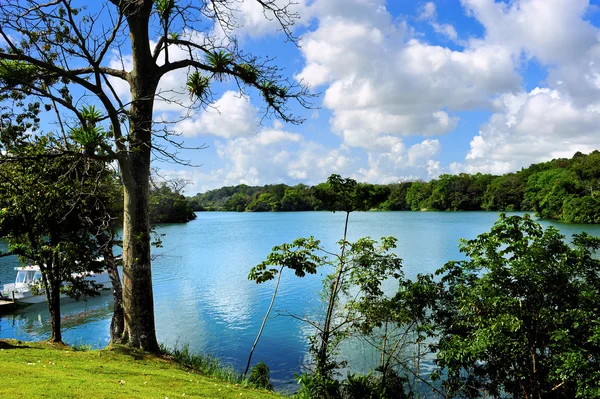 stock image Gatun Lake