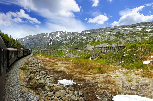 stock image Train from Skagway to White Pass