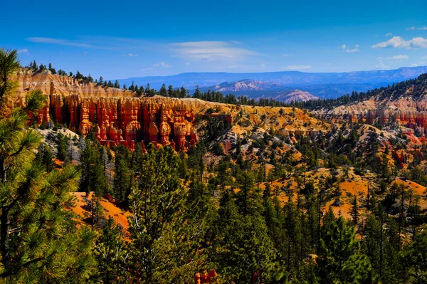 Bryce Canyon — Stock fotografie