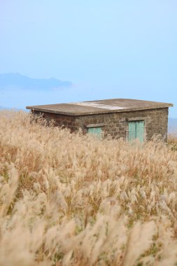 dağın üzerinde çim ile eski taş ev