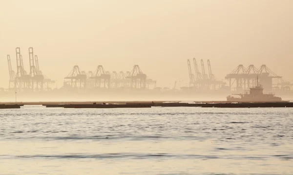 Containerkranen op een mistige ochtend — Stockfoto