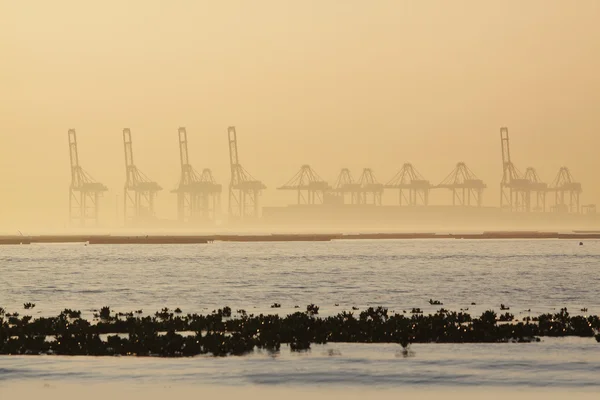 Контейнерные краны в туманное утро — стоковое фото