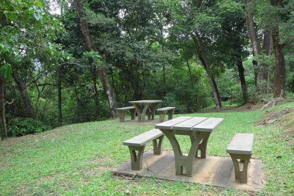 Picknick plaats in bos — Stockfoto