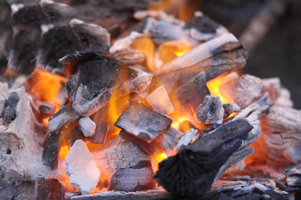 Decaying red coals of a tree in a fire — Stock Photo, Image