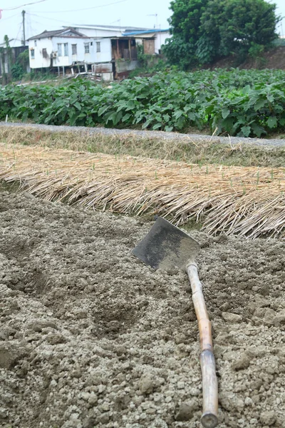 Spade ready to prepare vegetable bed for sowing — Stock Photo, Image