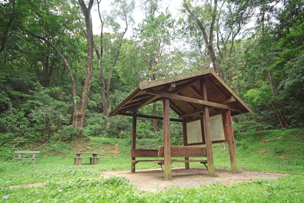 Pavilion in forest at day — Stock Photo, Image